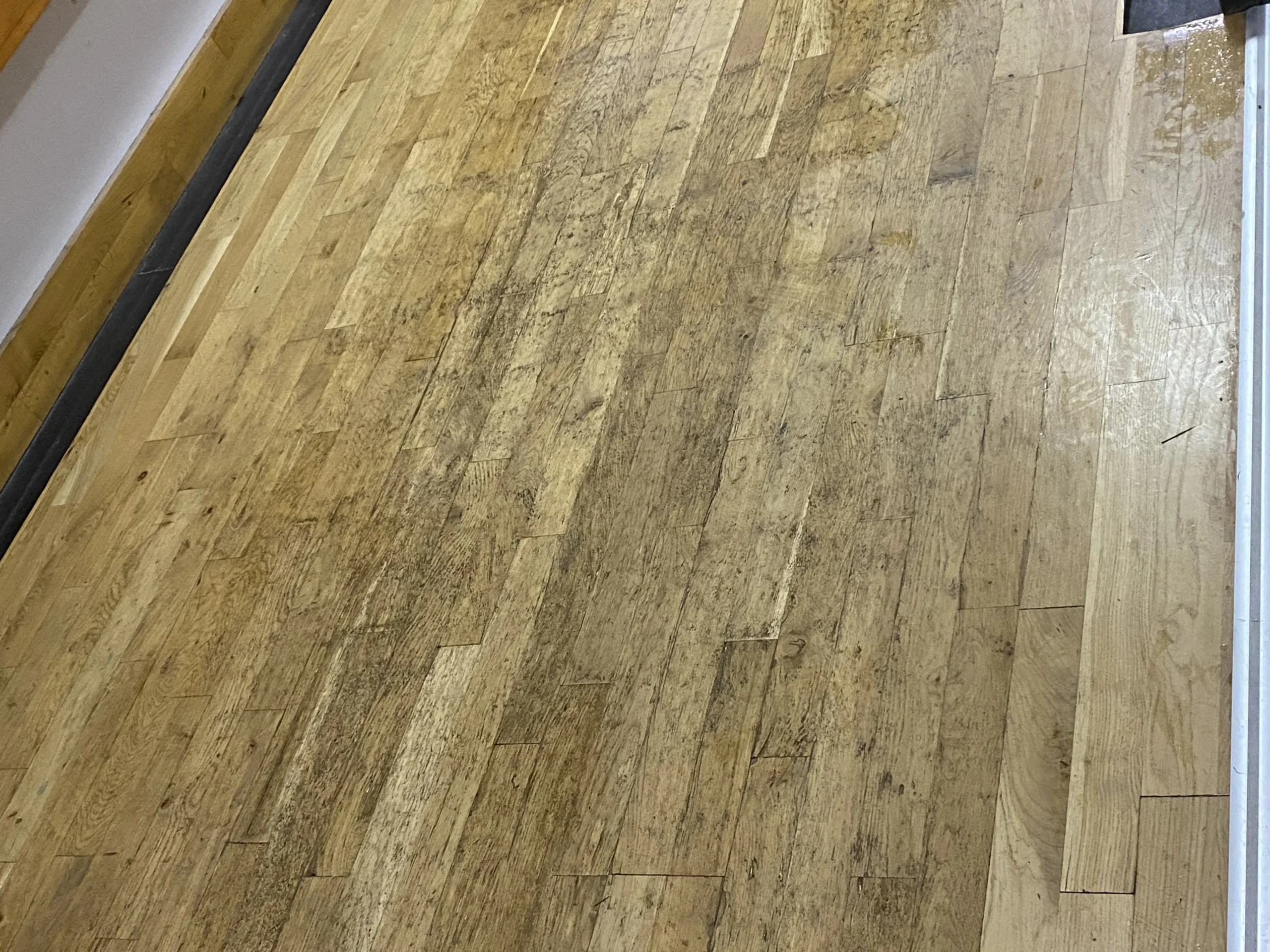 hard floor cleaning 01